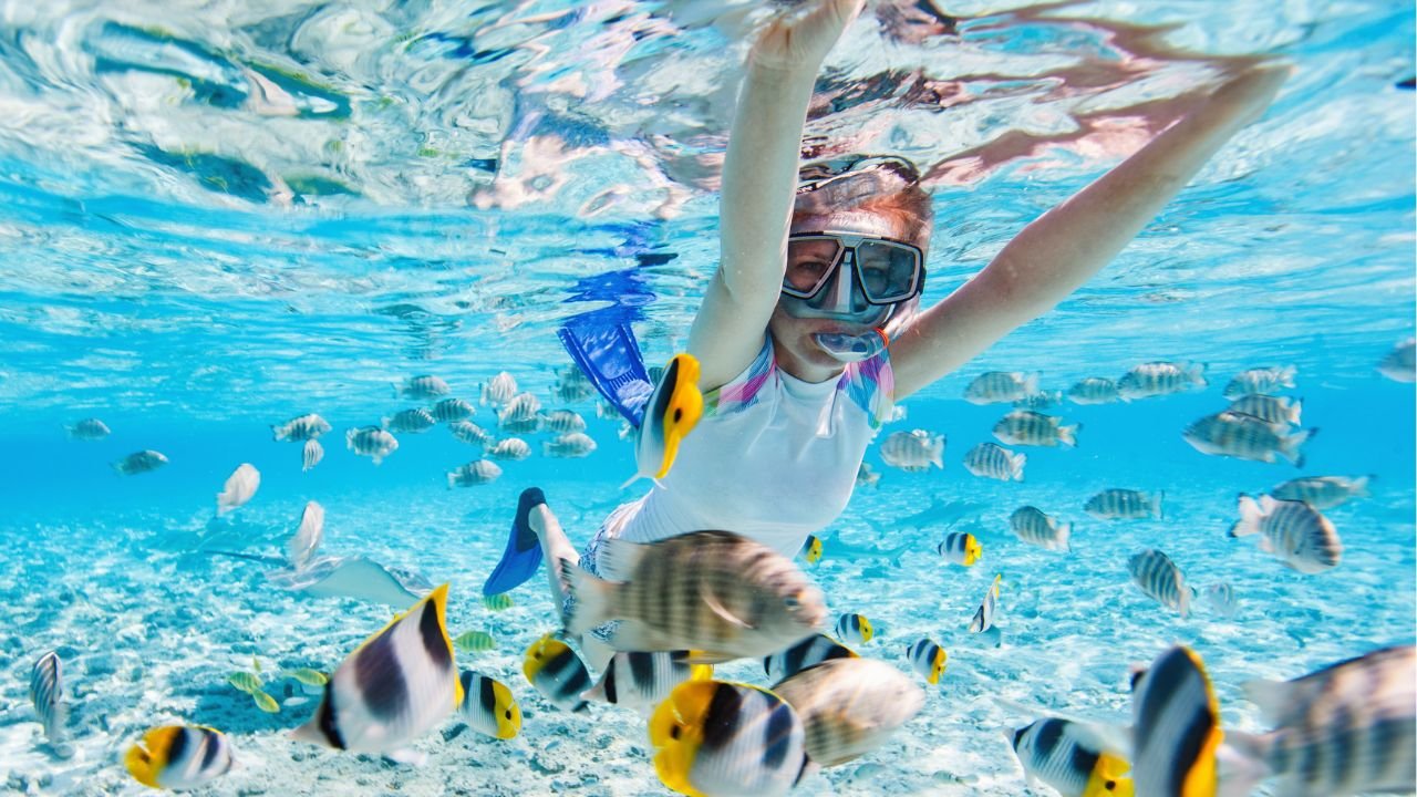 Vacanze <span style="color:#fcb715;">Sharm el Sheikh</span>